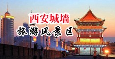 大鸡巴操黑丝中国陕西-西安城墙旅游风景区